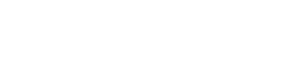 ギガソーラーの総合力を生かし、最新の大規模発電所を建設しています！世界4か国で海外プロジェクトも進行中！